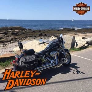 Meet your Posher, Ken